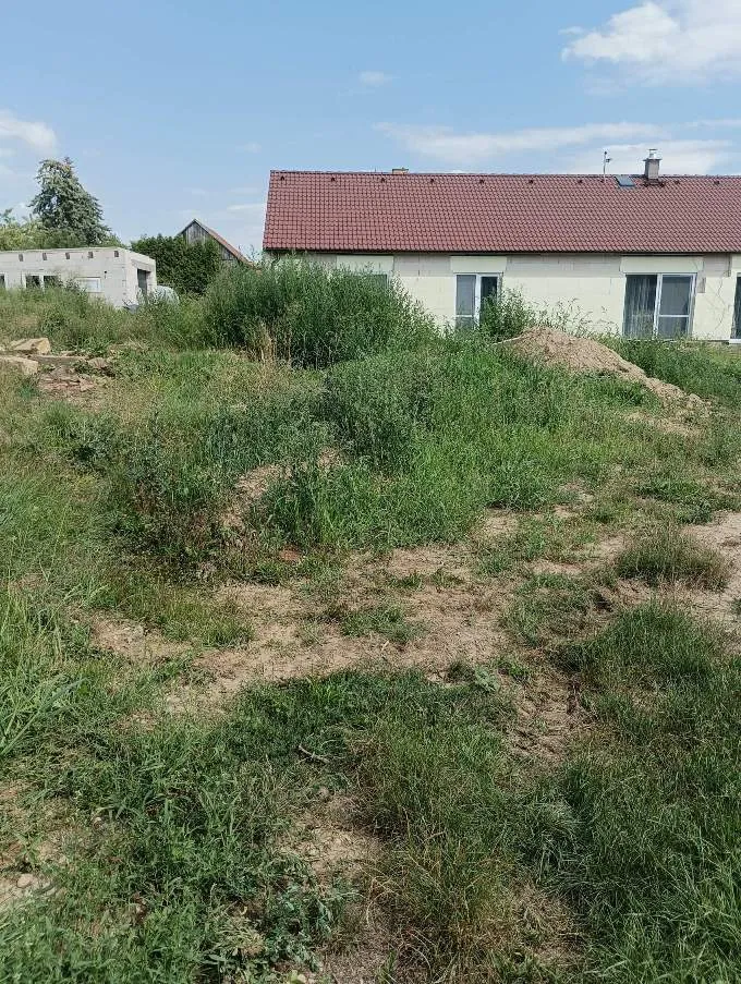 Čištění pozemku